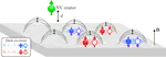 Magnetic excitons